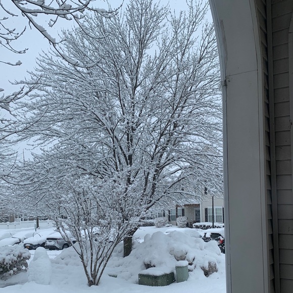 Meet your Posher, Julia - Picture 1 of 1